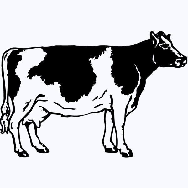 COW024 Thumbnail