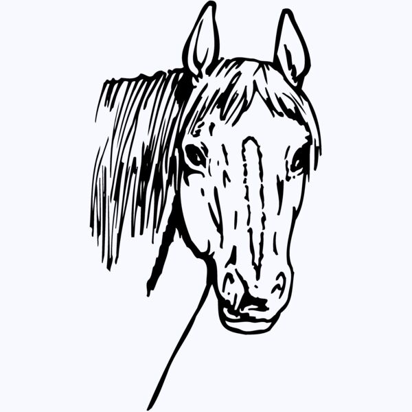 HORSE003 Thumbnail