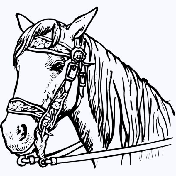 HORSE005 Thumbnail