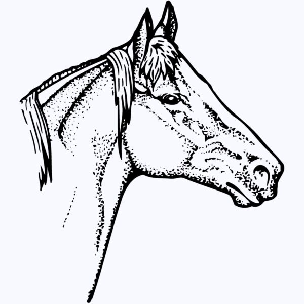 HORSE010 Thumbnail