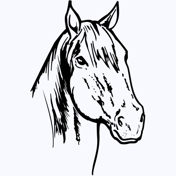 HORSE011 Thumbnail