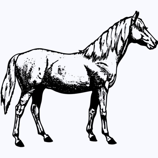 HORSE013 Thumbnail