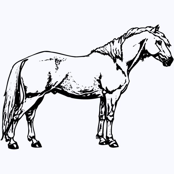 HORSE016 Thumbnail