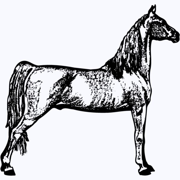 HORSE023 Thumbnail