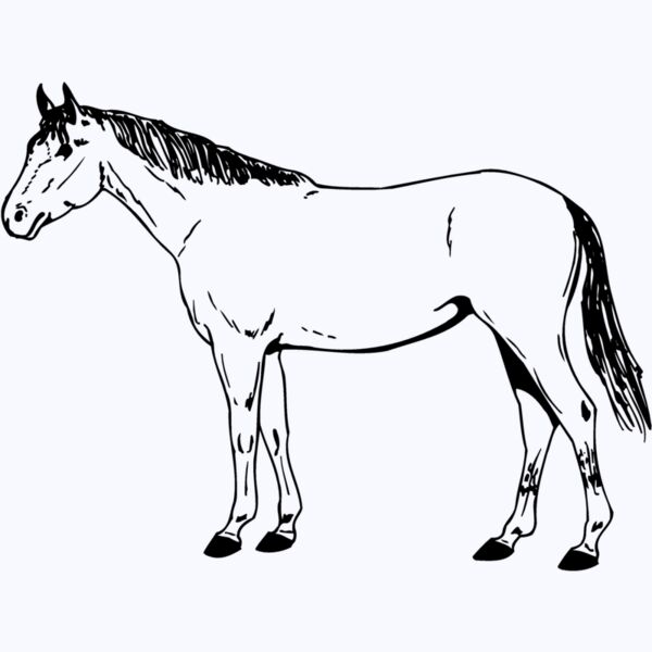 HORSE024 Thumbnail