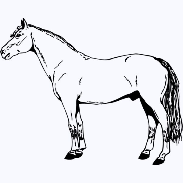 HORSE027 Thumbnail