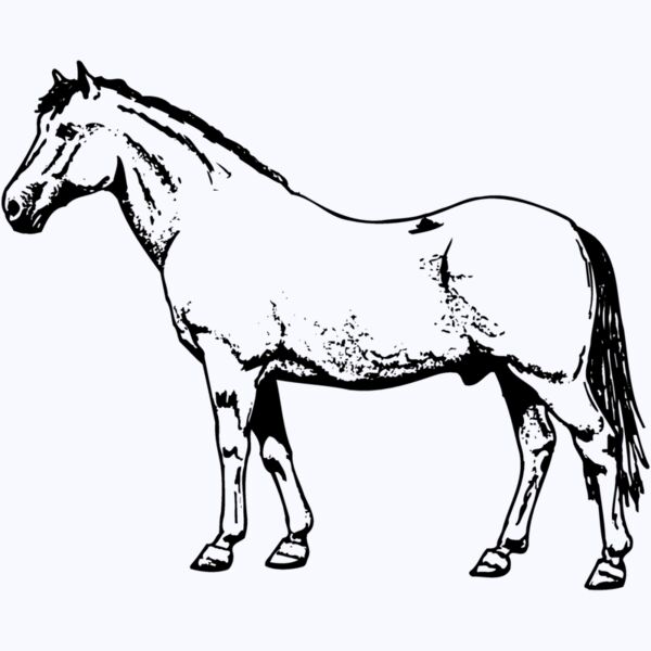 HORSE028 Thumbnail