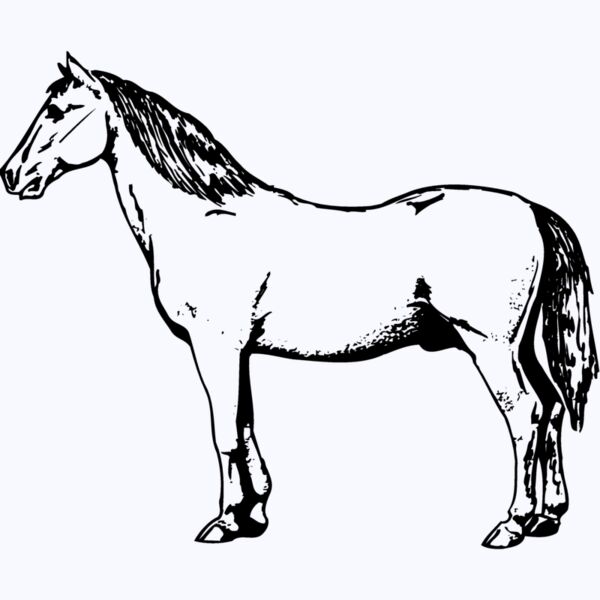HORSE030 Thumbnail