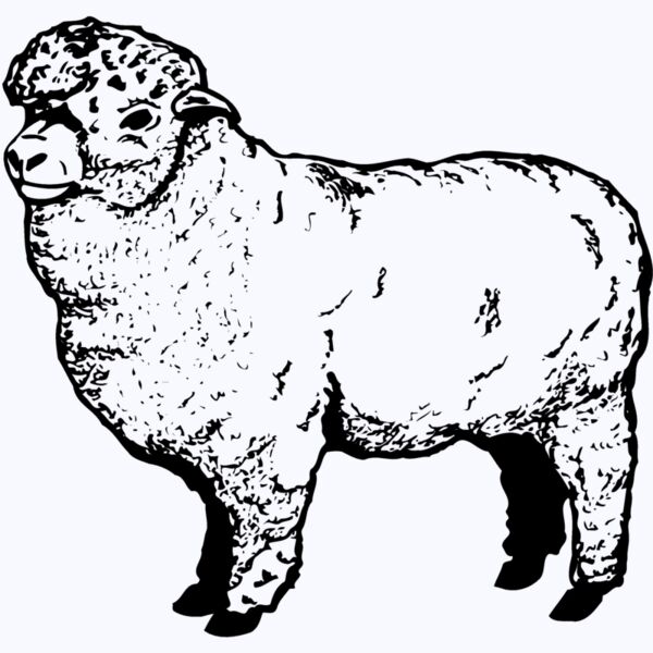 SHEEP004 Thumbnail