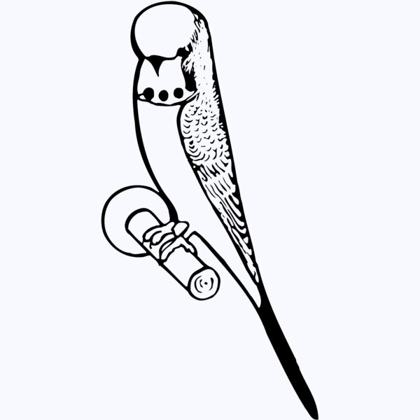 BIRD016 Thumbnail