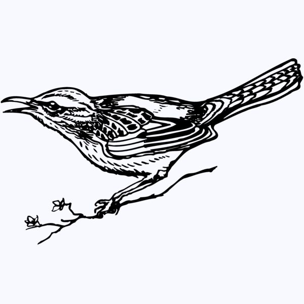BIRD018 Thumbnail