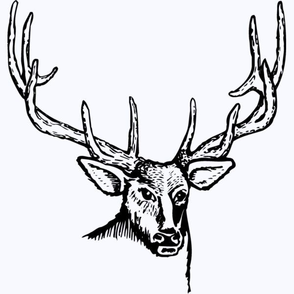 DEER007 Thumbnail