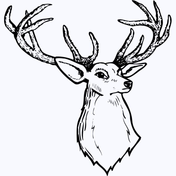 DEER008 Thumbnail