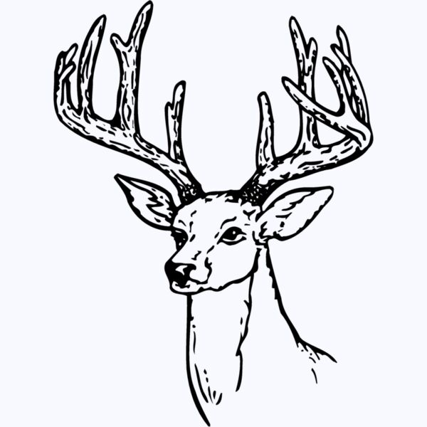 DEER009 Thumbnail