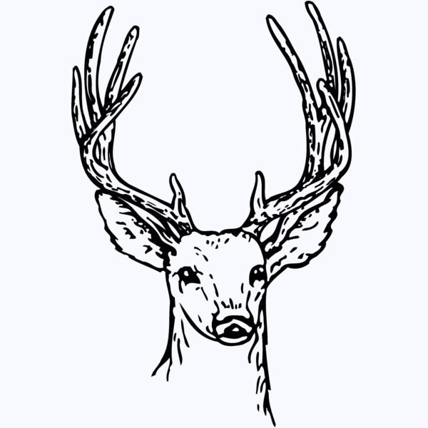 DEER011 Thumbnail