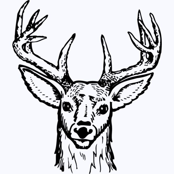 DEER012 Thumbnail