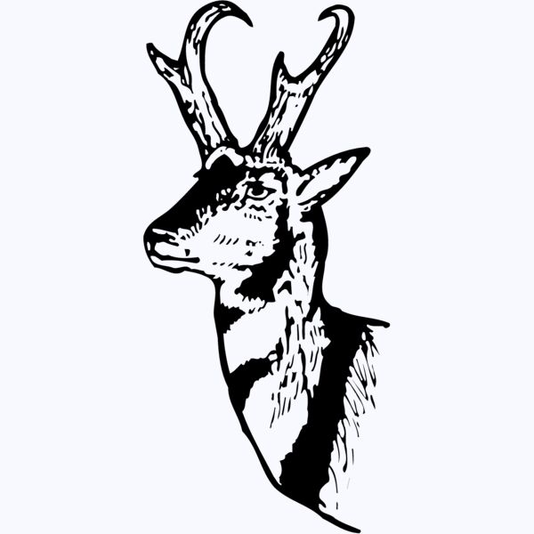 DEER013 Thumbnail
