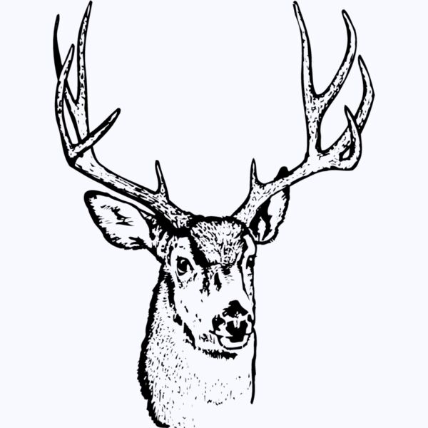 DEER016 Thumbnail