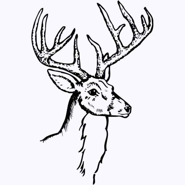 DEER017 Thumbnail
