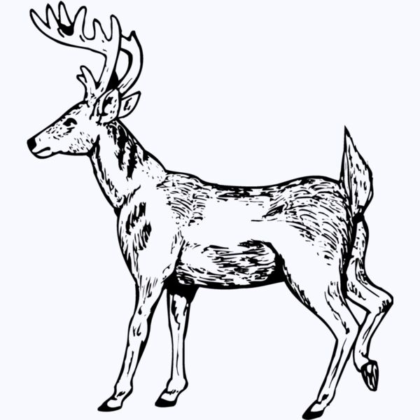 DEER019 Thumbnail