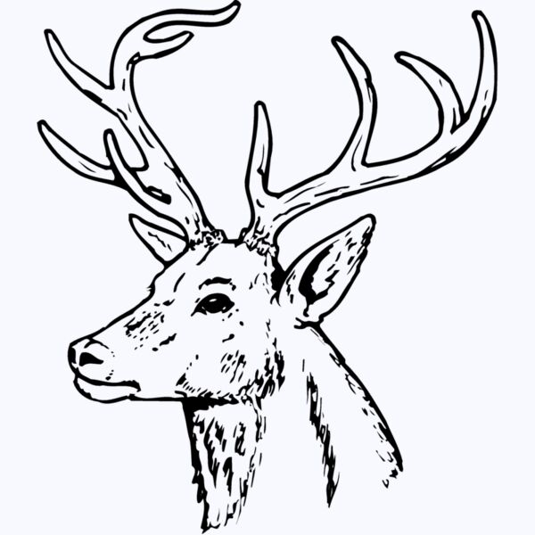 DEER022 Thumbnail