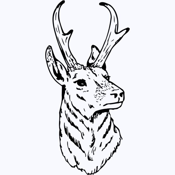 DEER023 Thumbnail