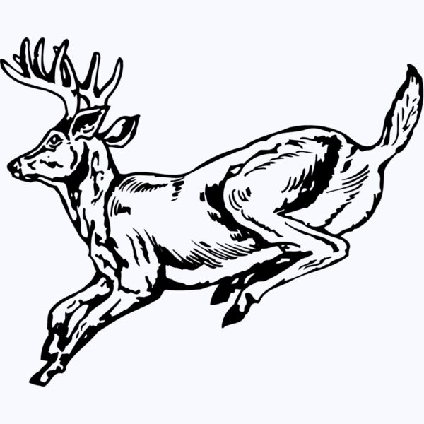 DEER027 Thumbnail