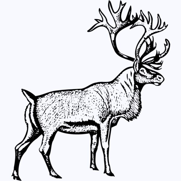 DEER030 Thumbnail