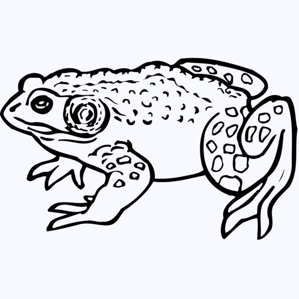 FROG02 Thumbnail