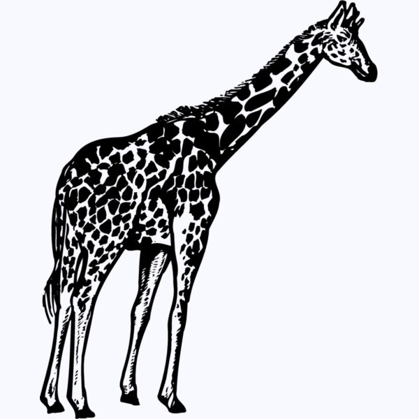 GIRAFF02 Thumbnail