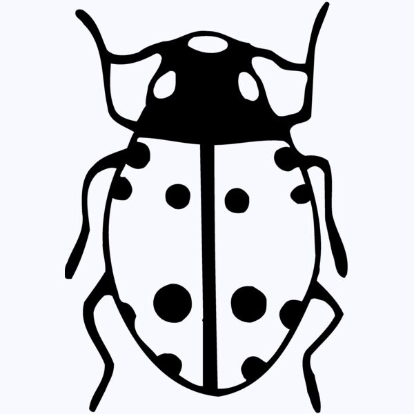 BEETLE03 Thumbnail