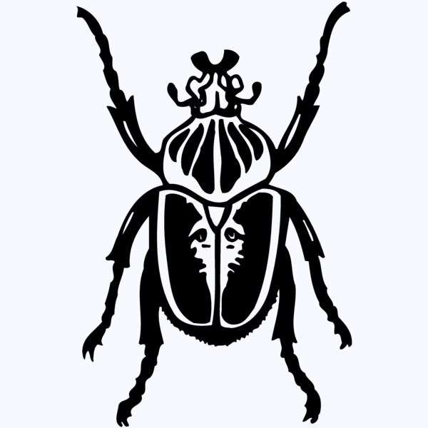 BEETLE04 Thumbnail