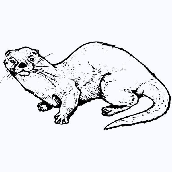 OTTER002 Thumbnail