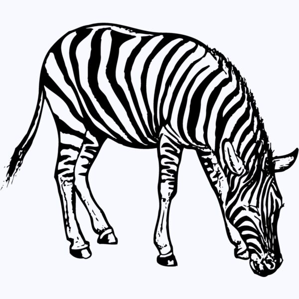 ZEBRA001 Thumbnail