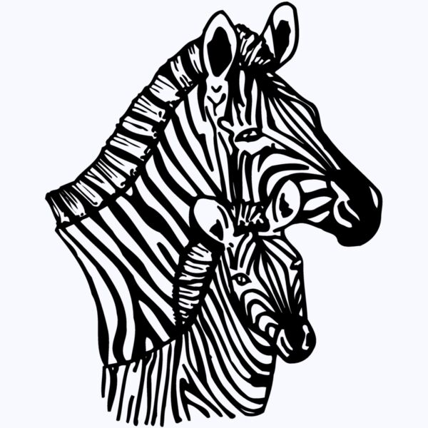 ZEBRA002 Thumbnail