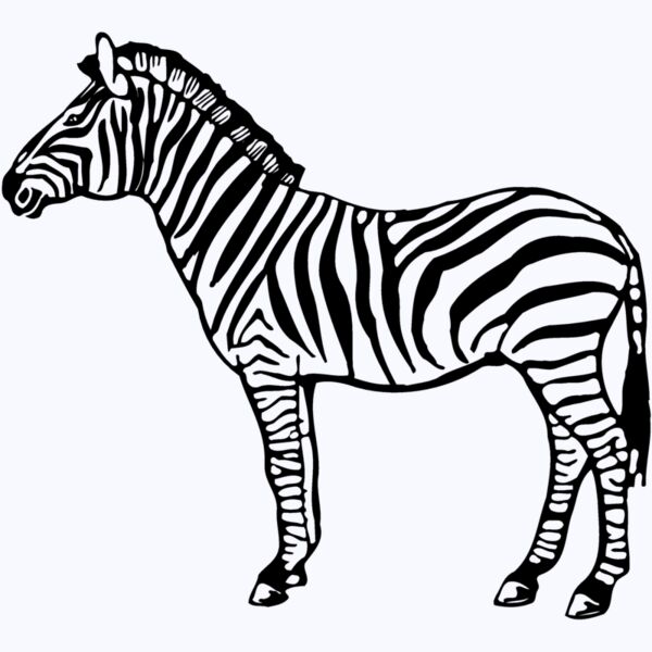 ZEBRA004 Thumbnail
