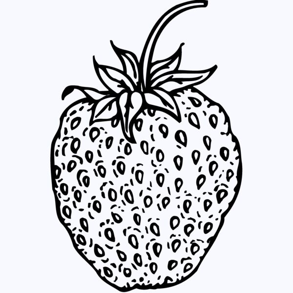 FRUIT009 Thumbnail