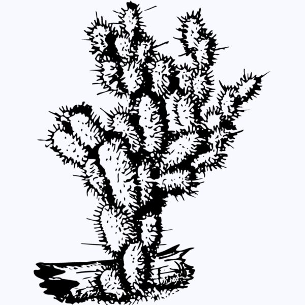 CACTUS09 Thumbnail