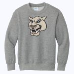 ACS - Youth Core Fleece Crewneck Sweatshirt Thumbnail