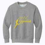 ACS - Youth Core Fleece Crewneck Sweatshirt Thumbnail