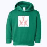 ACS - Toddler Pullover Fleece Hoodie Thumbnail