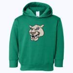 ACS - Toddler Pullover Fleece Hoodie Thumbnail