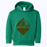 ACS - Toddler Pullover Fleece Hoodie Thumbnail